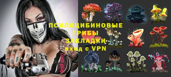 дживик Абинск
