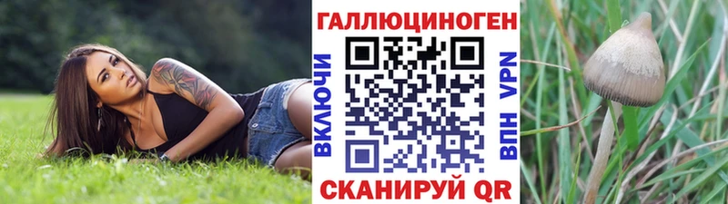 Галлюциногенные грибы Cubensis  сколько стоит  Северодвинск 
